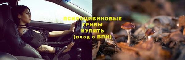 прущие крисы Алзамай