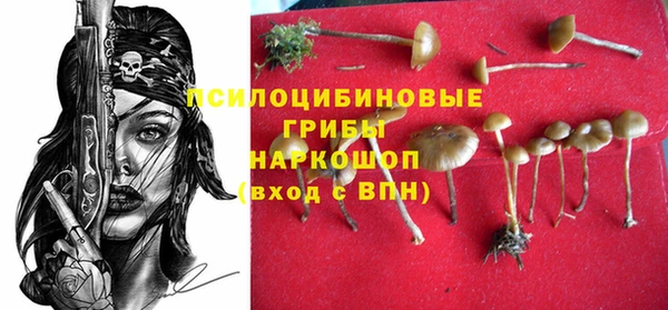спайс Козельск