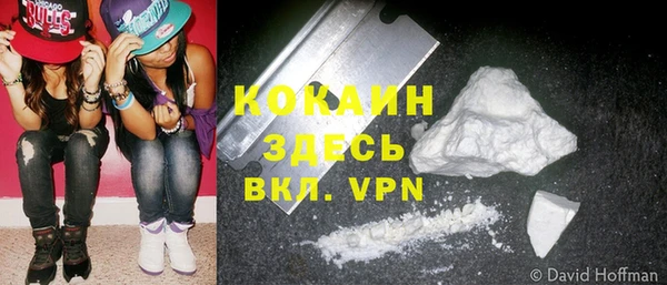МДПВ Алексин