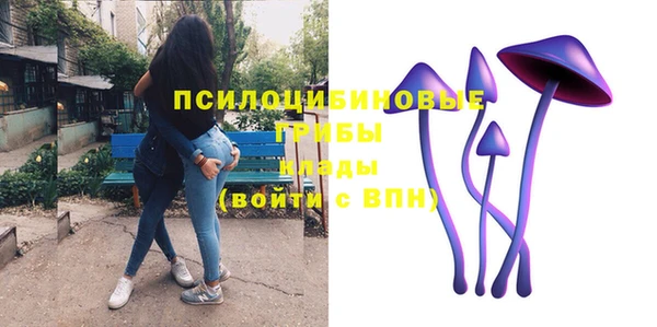 метадон Вяземский