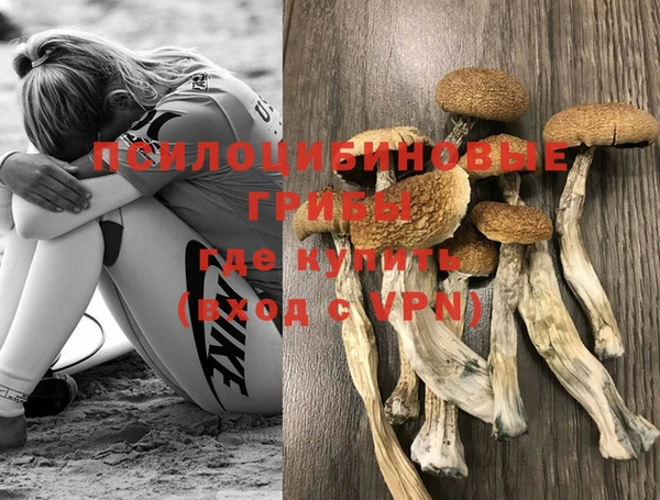 МДПВ Алексин